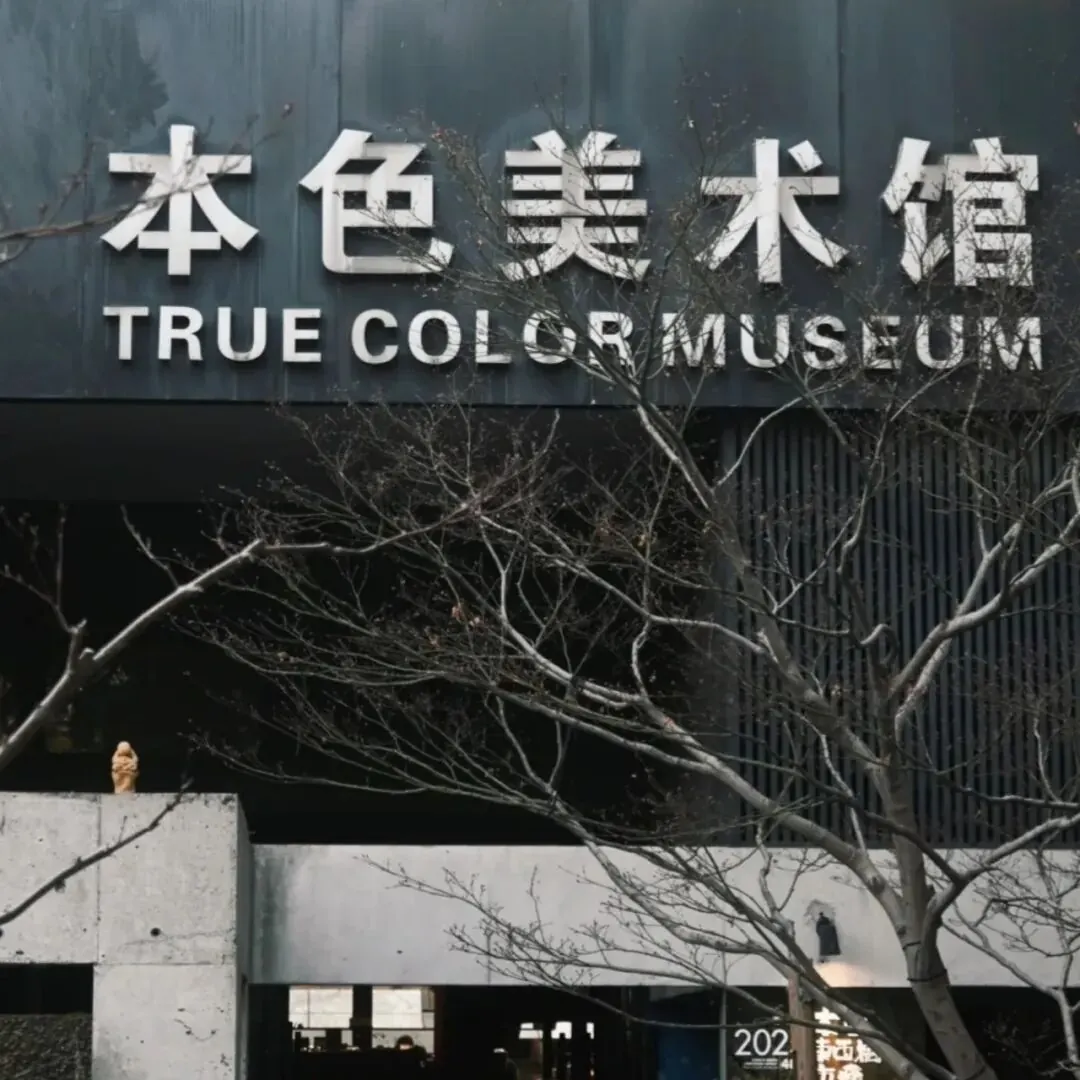 本色市集:一场反商业逻辑的文化坚守 · 图5