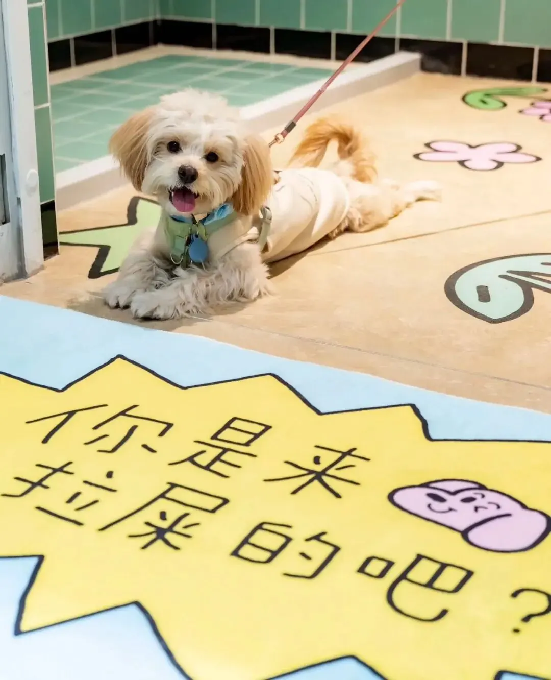 萌宠友好商业观察 · 图1