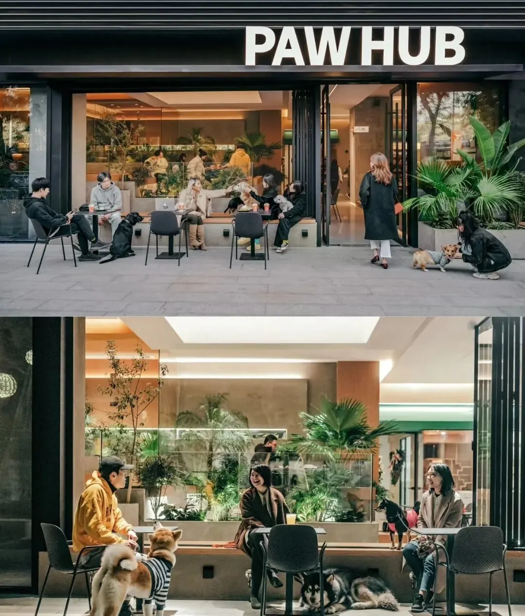 萌宠友好商业观察 · 图11