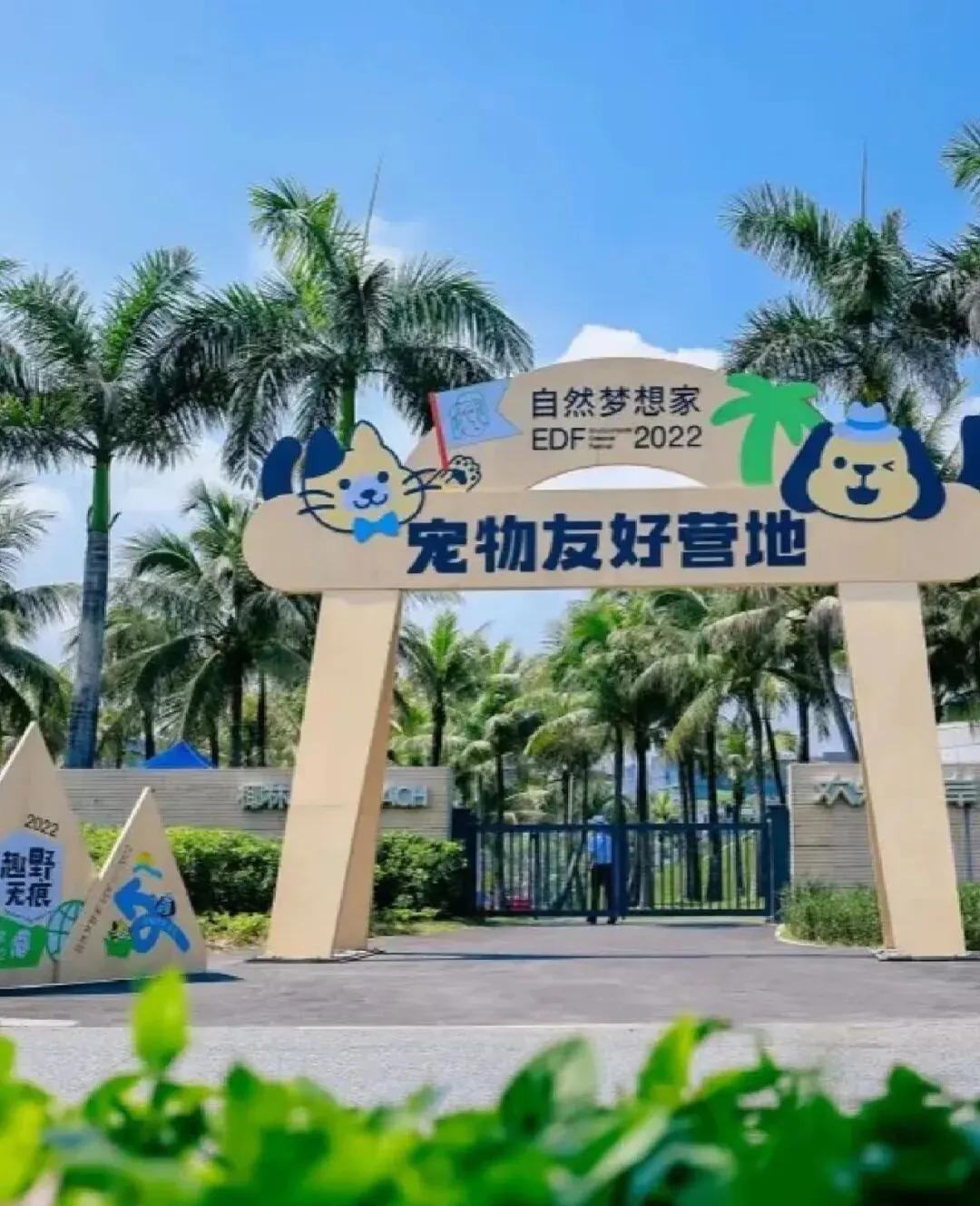 萌宠友好商业观察 · 图14