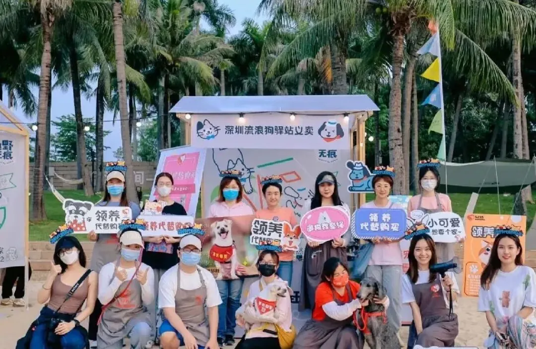 萌宠友好商业观察 · 图15
